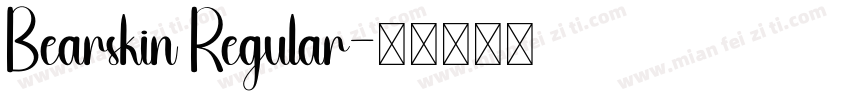 Bearskin Regular字体转换
